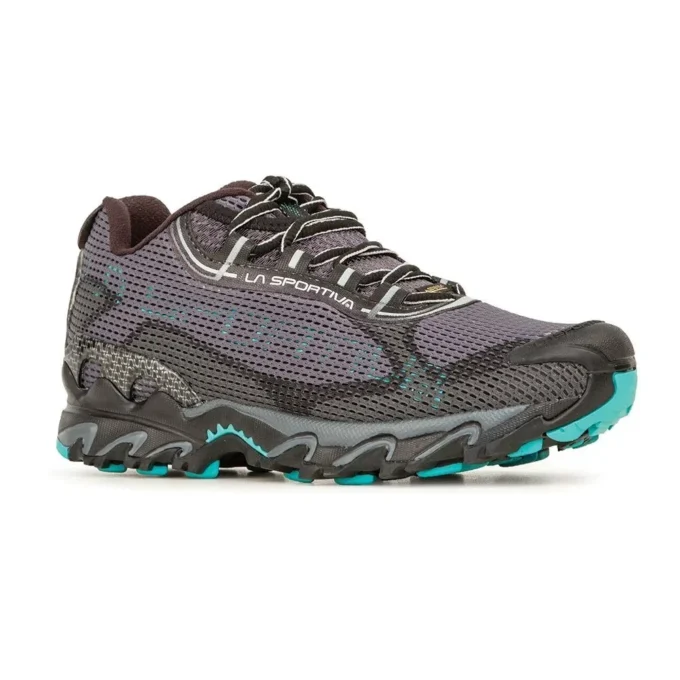 Wildcat 2.0 GTX Damen (2023)